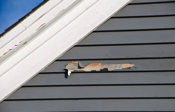 Best Wood Siding Installation  in Drain, OR